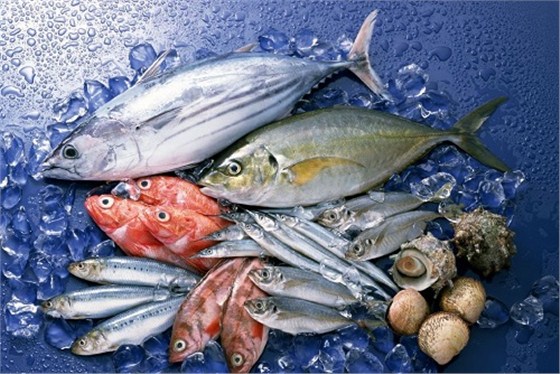 x2_1.1433922353_1024_727_209320