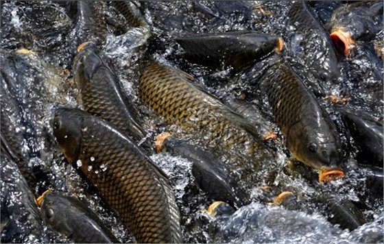 wKhQvFMeXOSEcSSoAAAAAAID_s4605