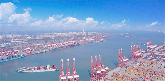 青岛进口报关 青岛进口报关