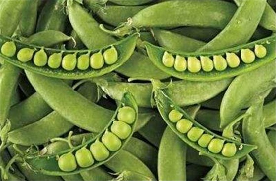 干豌豆进口报关