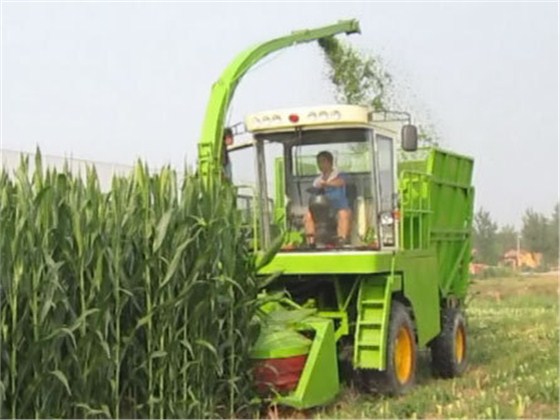 二手青贮机进口报关公司 二手青贮机进口报关公司