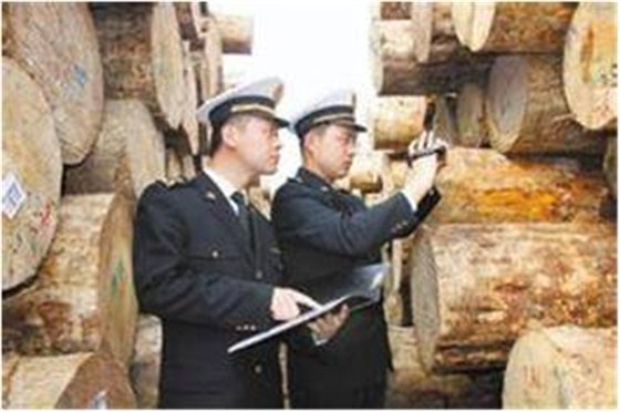 木材进口报关行