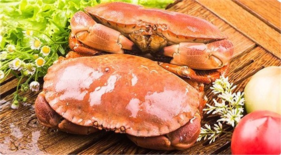 冷冻水产进口报关行