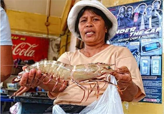 斑节对虾进口报关 斑节对虾进口报关