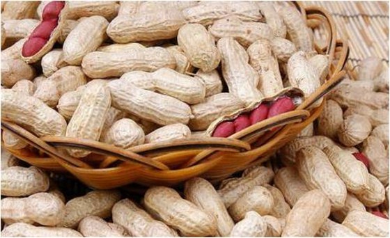 青岛港花生进口清关