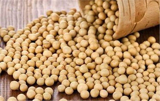 美国大豆进口报关 美国大豆进口报关