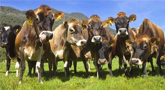 418fac63-d5ed-4bda-8041-8dedcfdf0580