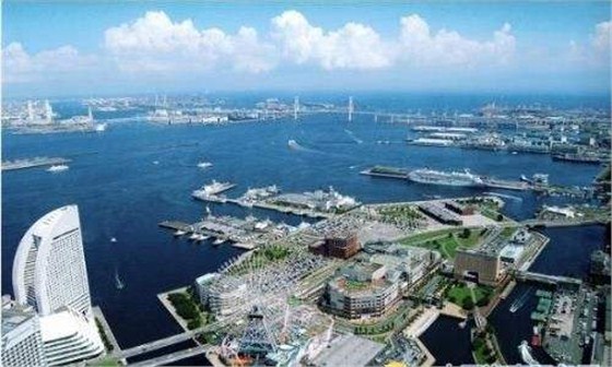 日本进出口报关清关双清代理