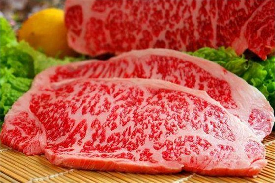 冻肉进口报关代理公司