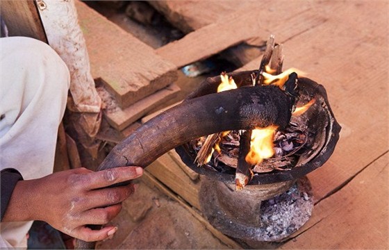 代理进口瘤牛角报关 代理进口瘤牛角报关