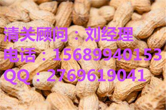 塞内加尔花生进口报关代理公司 塞内加尔花生进口报关代理公司