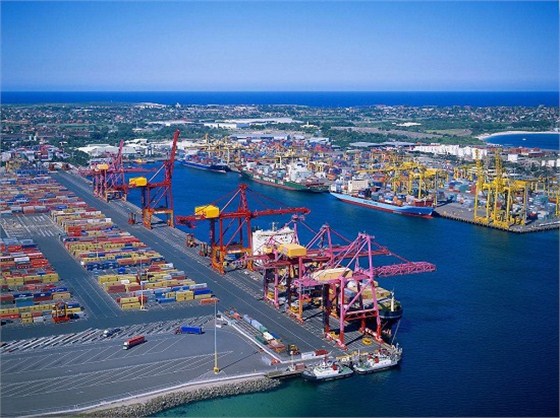 越南胡椒粒进口报关代理