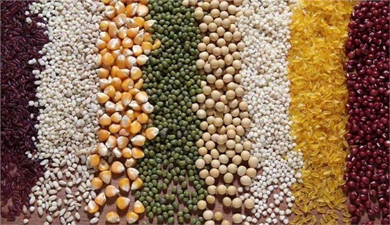 农产品进口报关代理 农产品进口报关代理