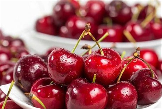 食品进口代理公司 食品进口代理公司