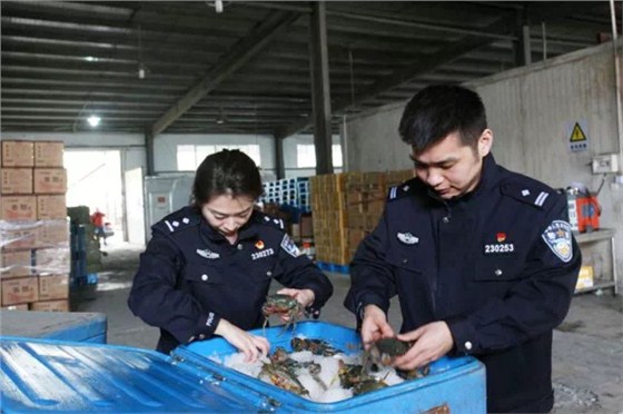 活龙虾进口报关代理 活龙虾进口报关代理