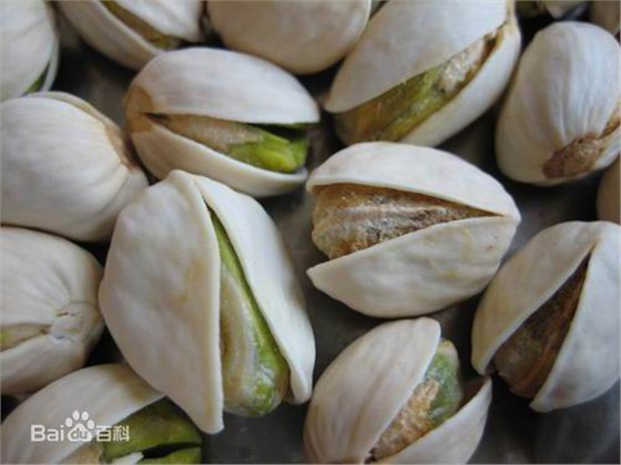 开心果进口报关代理 开心果进口报关代理