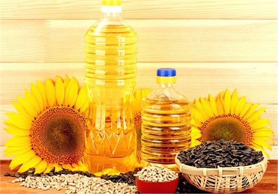 冷冻食品进口报关代理