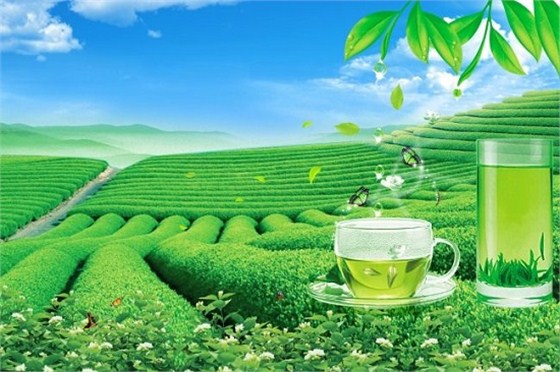 青岛进口茶叶代理