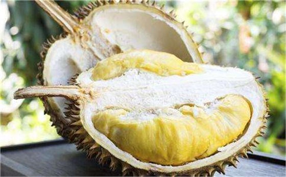 榴莲饼进口报关代理