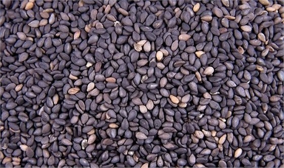 青岛芝麻进口报关 青岛芝麻进口报关