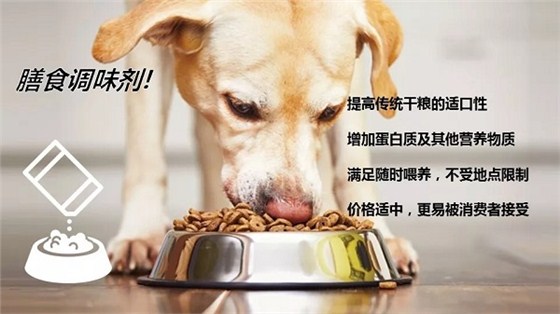 青岛宠物食品进口代理 青岛宠物食品进口代理