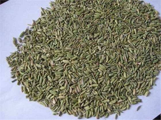 青岛孜然进出口代理 青岛孜然进出口代理