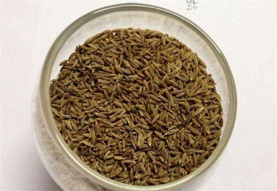 青岛孜然进口代理公司