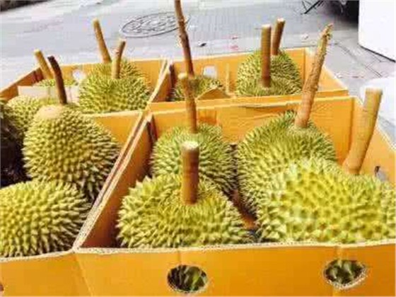 青岛进口泰国榴莲报关代理