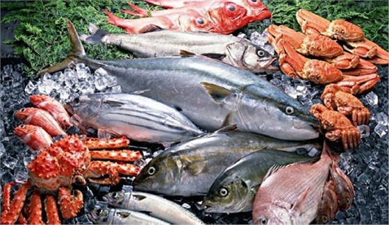 青岛冻鱼进口代理公司