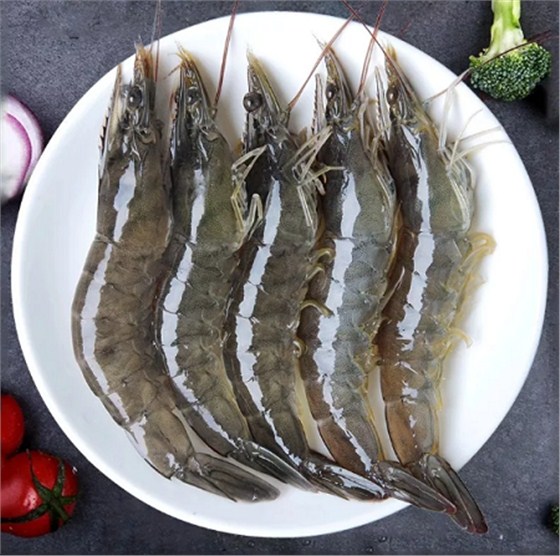 青岛越南冻虾进口代理