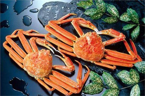 天津水产品进口清关公司