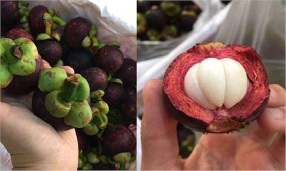 天津水果进口报关公司