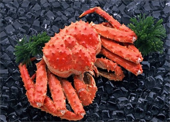 青岛雪蟹进口报关公司 青岛雪蟹进口报关公司