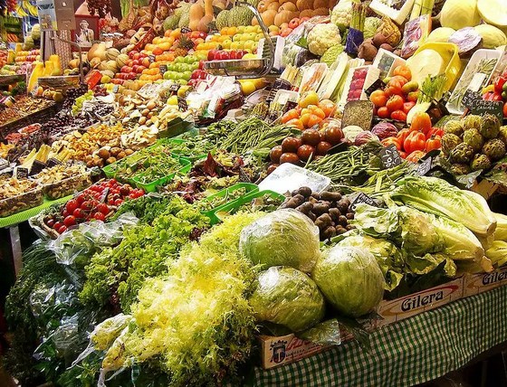 青岛蔬菜进口报关公司