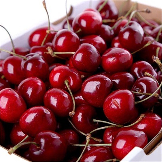 天津水果进口报关代理 天津水果进口报关代理