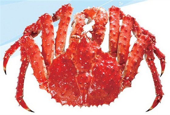 北京帝王蟹进口报关行