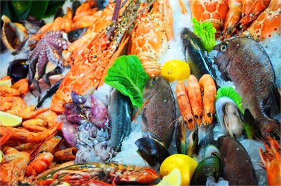 天津食品进口清关公司