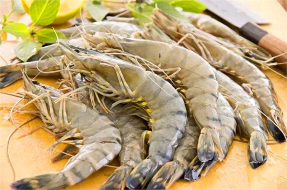 南美白虾进口报关公司