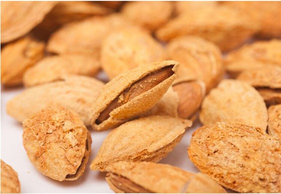 巴旦木进口报关代理