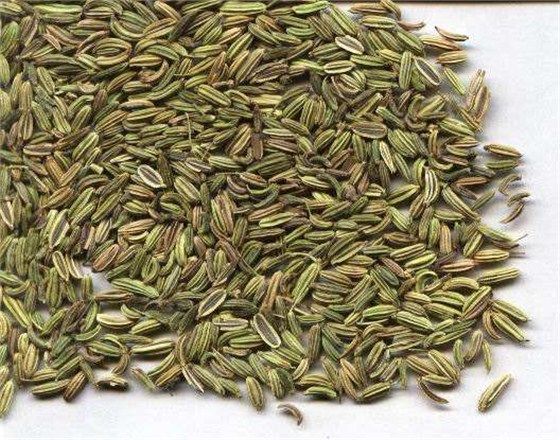 青岛小茴香进口报关行