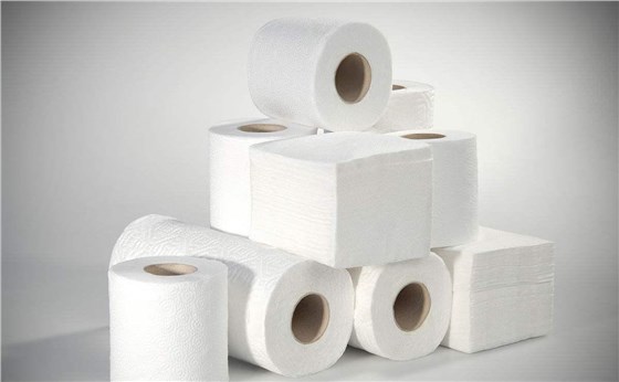卫生纸 (3)