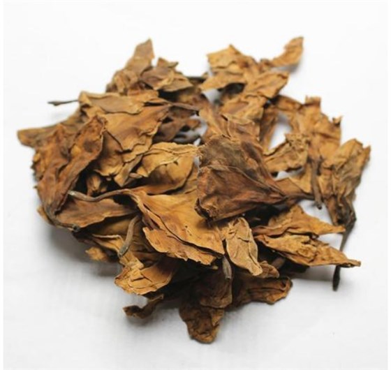 鸡蛋花 (1) 鸡蛋花 (1)