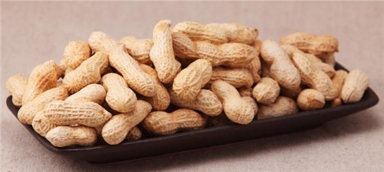 花生 花生
