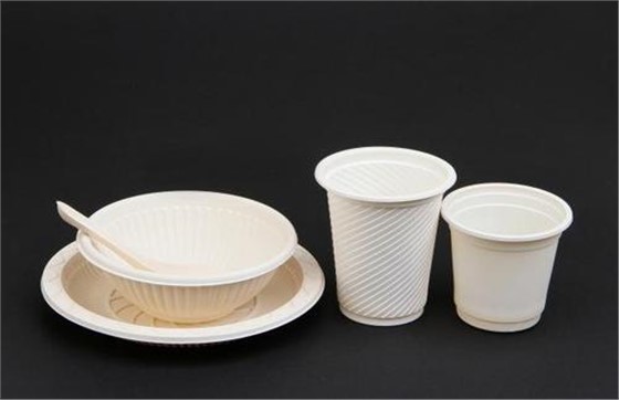 一次性餐具 (1) 一次性餐具 (1)