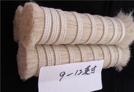 马尾毛 (1) 马尾毛 (1)