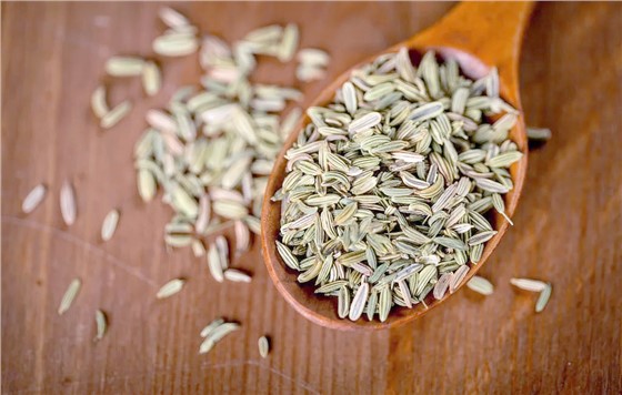小茴香 小茴香