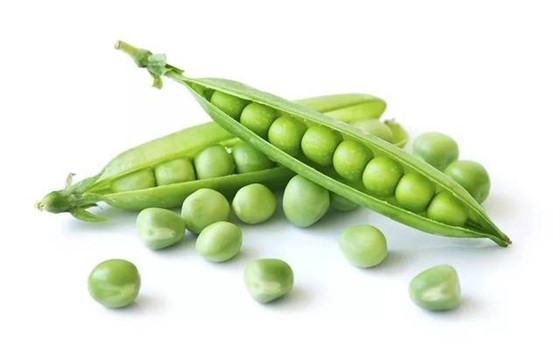 豌豆 豌豆