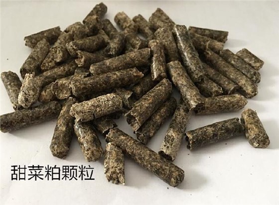 甜菜粕 甜菜粕