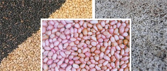 农产品代理进口