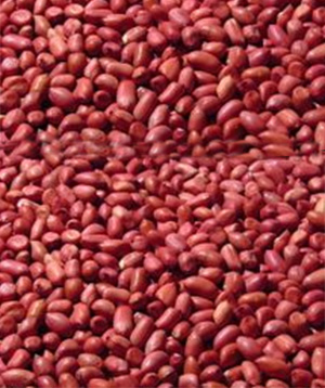 丰富的经验为客户节约清关时间